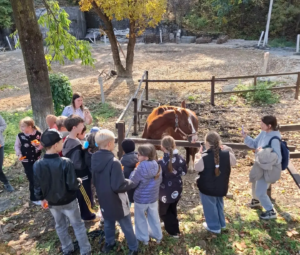 🐎 Какую роль лошадь играла в жизни казаков?